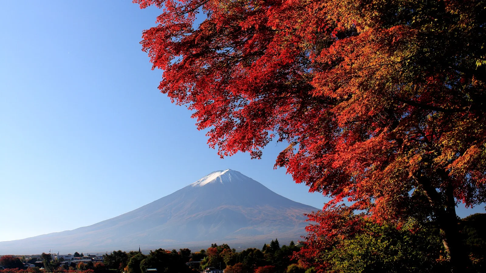 Shinjuku to Kawaguchiko: Highway Bus or Fuji Excursion Train?