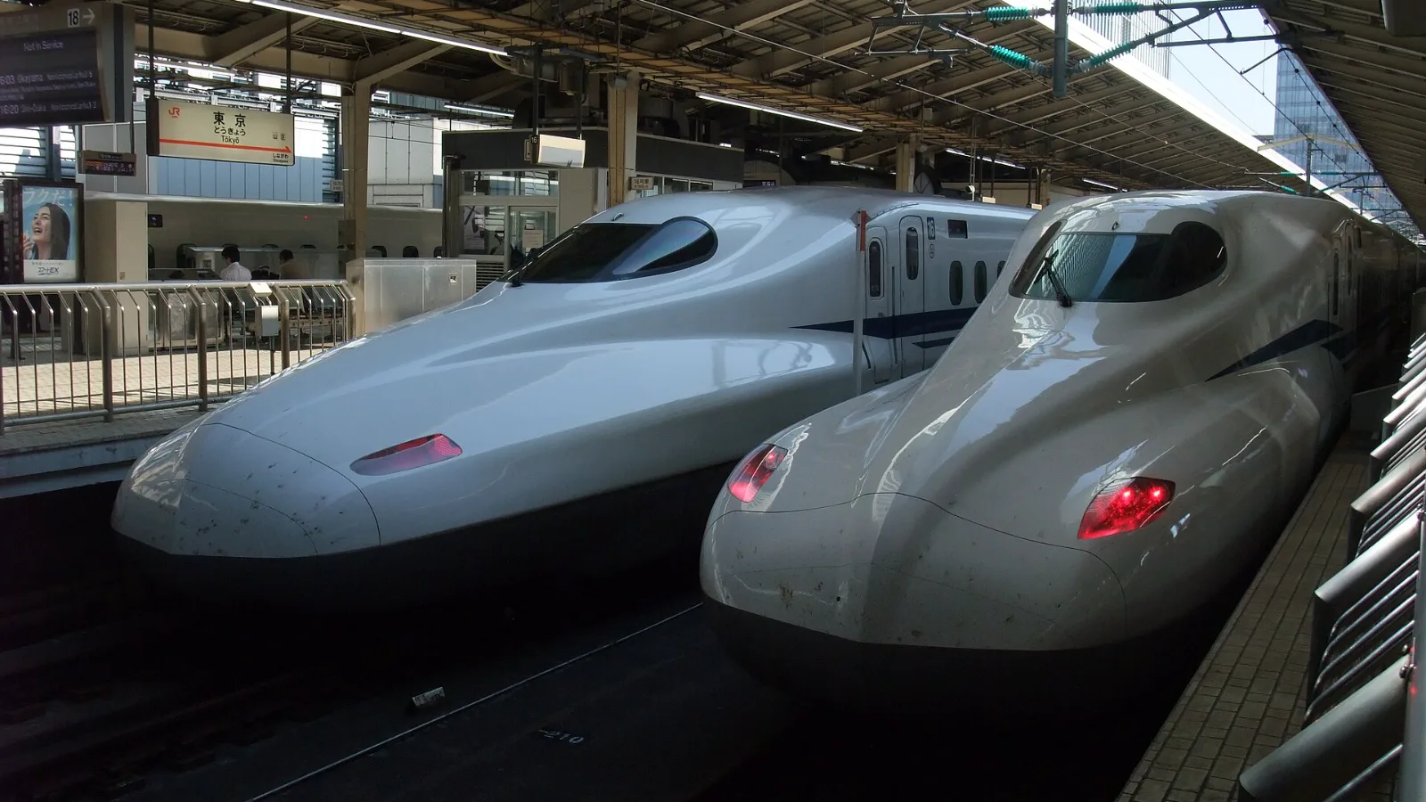 Tokaido Shinkansen: Reserved or Non-Reserved Seat?