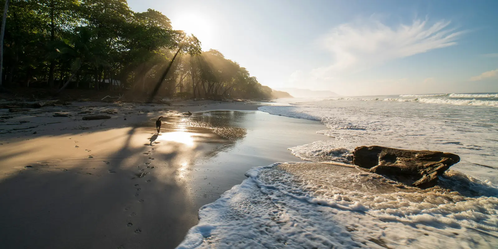 Un tramo tranquilo de playa de arena blanca bordeada de palmeras verdes en la costa Pacífica de Costa Rica