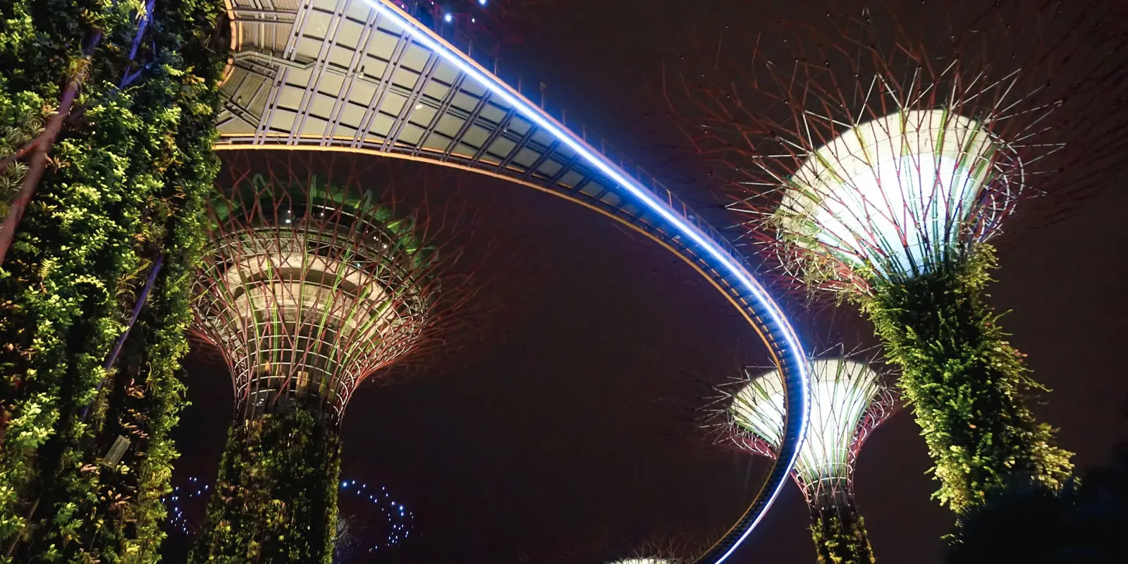 夜晚燈光璀璨的新加坡濱海灣花園擎天樹叢