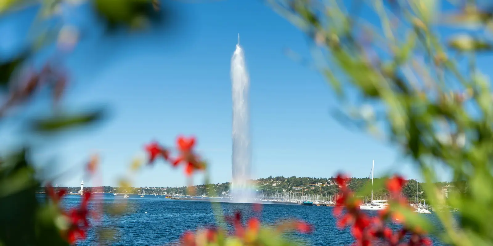 Jet d'Eau-Fontäne am Genfersee in der Schweiz, im Vordergrund Segelboote