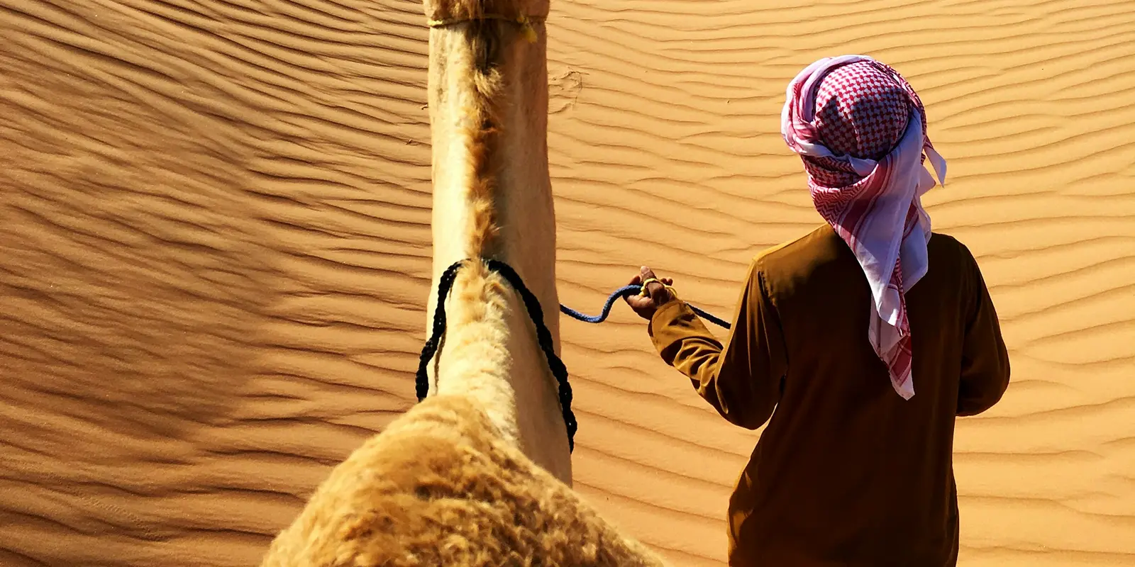 A traveller walking beside a camel across Wahiba Sands