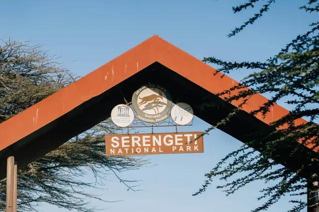 Meilleure eSIM pour un Safari en Tanzanie (2026) : Forfaits, Couverture et Réseaux