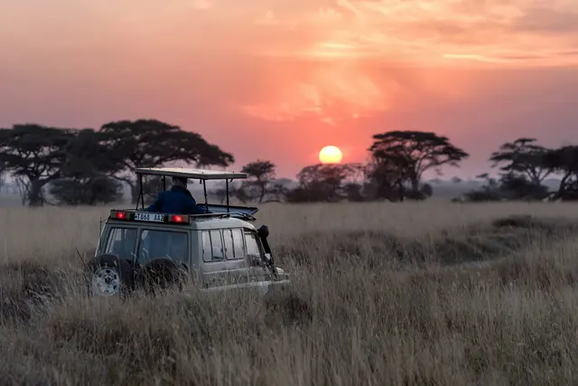 Best eSIM for Zambia (2026): Victoria Falls Network Guide