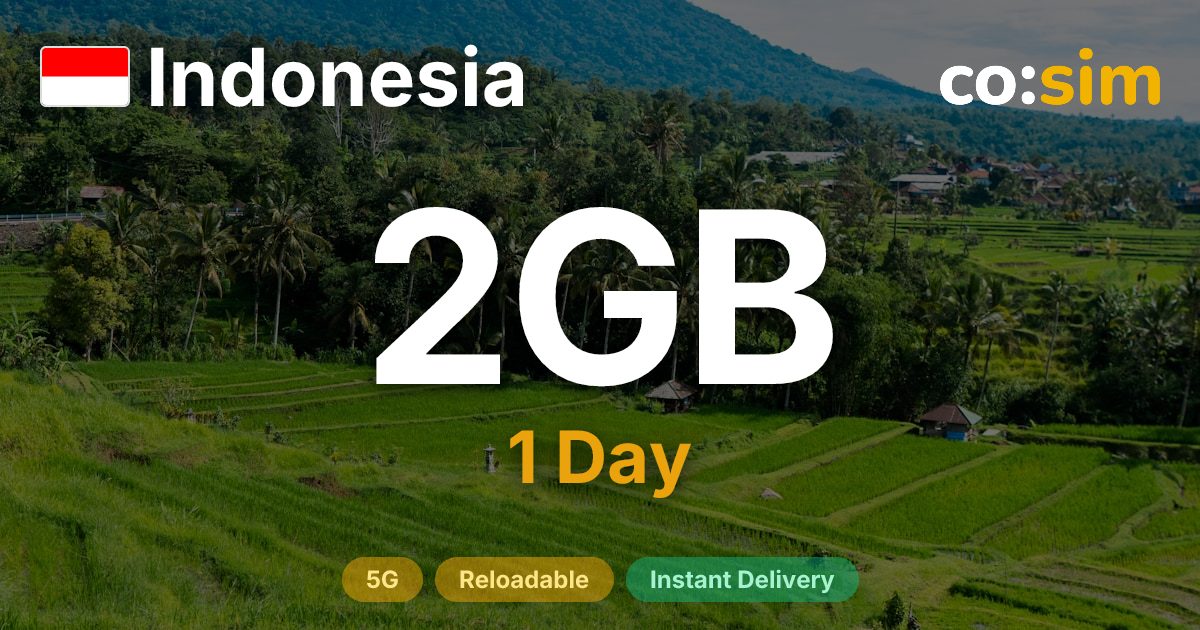 インドネシア eSIM — 2GB+∞