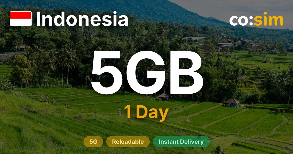 インドネシア eSIM — 5GB+∞